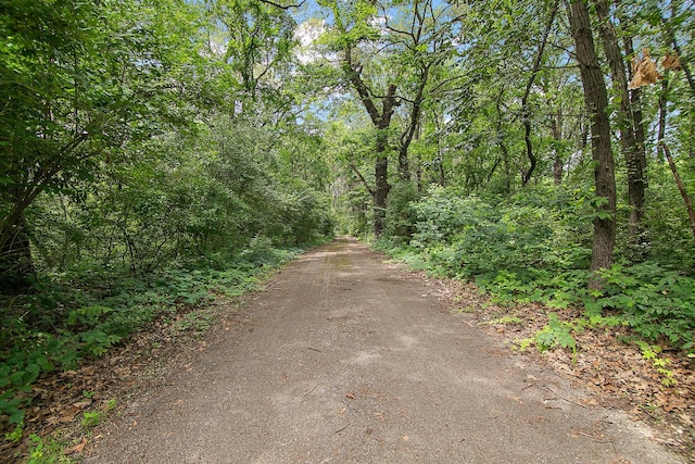 1177 N 6250w Rd, Bonfield, IL 60913 - view of road featuring a forest view