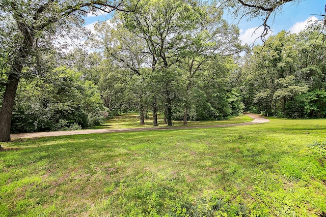 1177 N 6250w Rd, Bonfield, IL 60913 - view of grassy yard with a view of trees