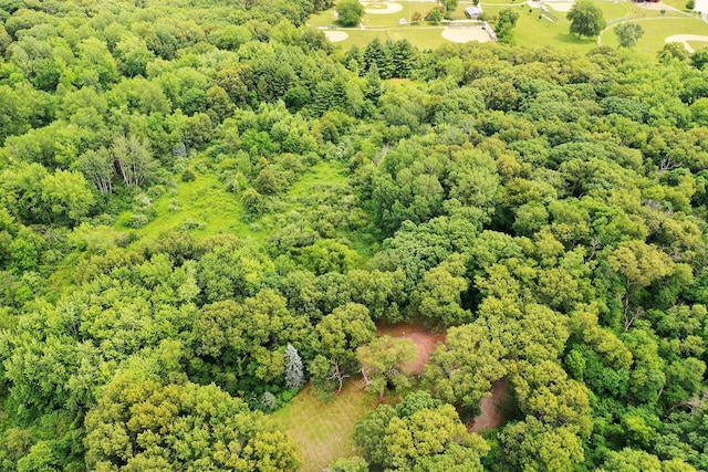 1177 N 6250w Rd, Bonfield, IL 60913 - aerial view of a forest