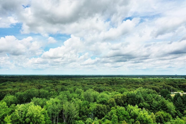 1177 N 6250w Rd, Bonfield, IL 60913 - bird's eye view of a forest