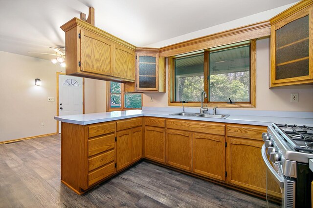 1177 N 6250w Rd, Bonfield, IL 60913 - kitchen featuring stainless steel range, a peninsula, light countertops, and dark wood-type flooring