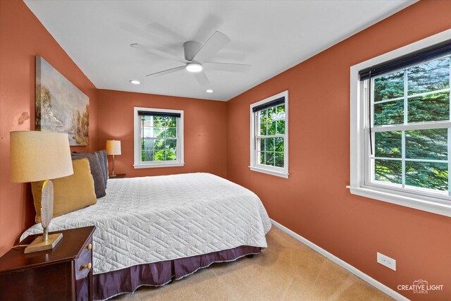 521 S Blanchard St, Wheaton, IL 60187 - photo 19