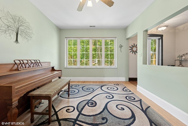 3432 S Union Ave, Chicago, IL 60616 - living area featuring wood finished floors and a ceiling fan