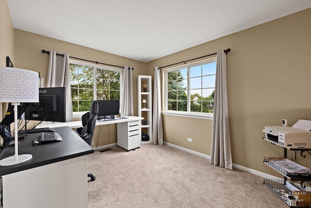 10750 Cape Cod Ln, Huntley, IL 60142 - home office featuring plenty of natural light and light carpet