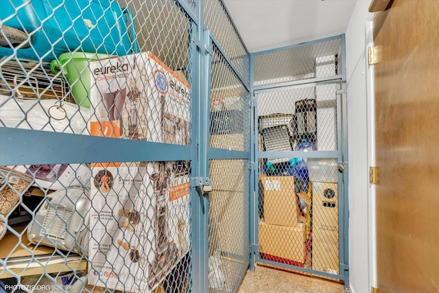 4838 Howard St Unit 301, Skokie, IL 60077 - view of storage