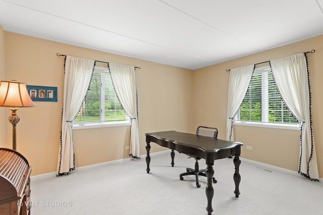 25 Algonquin Trl Unit 1, Indian Head Park, IL 60525 - office featuring carpet flooring and baseboards