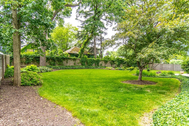 2458 E Cass St, Joliet, IL 60432 - view of fenced backyard