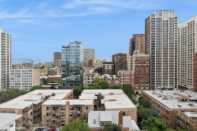 450 W Briar Pl Unit 12M, Chicago, IL 60657 - photo 10