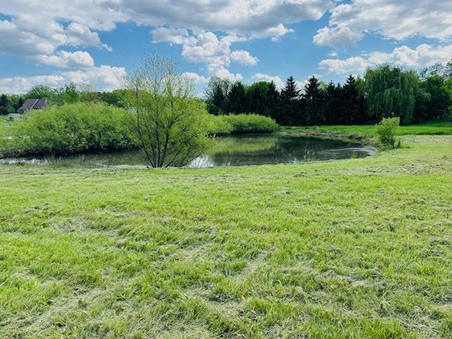 16604 Pine Hill Dr, Homer Glen, IL 60491 - photo 8