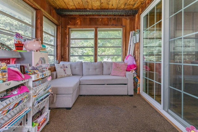 161 Olympic Dr, Bolingbrook, IL 60440 - sunroom with wooden ceiling, wooden walls, and carpet floors