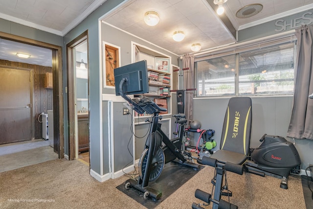 161 Olympic Dr, Bolingbrook, IL 60440 - exercise area featuring ornamental molding, wood walls, and carpet