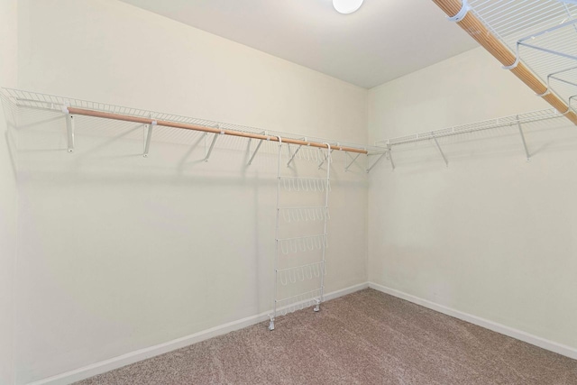 9207 E Prairie Rd, Evanston, IL 60203 - spacious closet featuring carpet floors