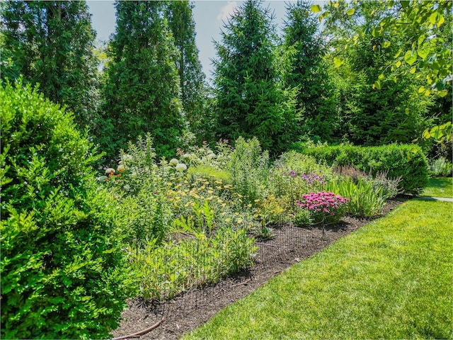 821 Sandstone Dr, Libertyville, IL 60048 - view of green lawn