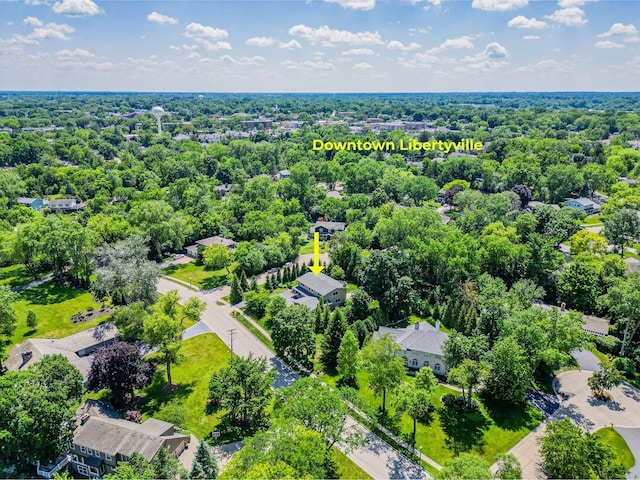 821 Sandstone Dr, Libertyville, IL 60048 - bird's eye view