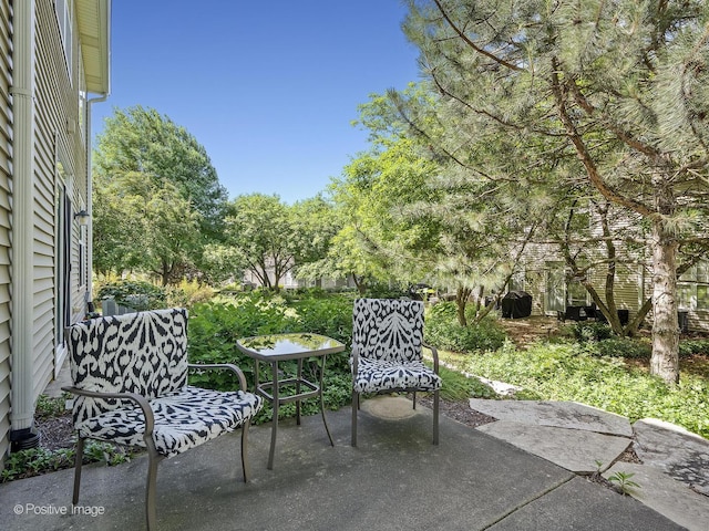2855 Vernal Ln, Naperville, IL 60564 - view of patio / terrace