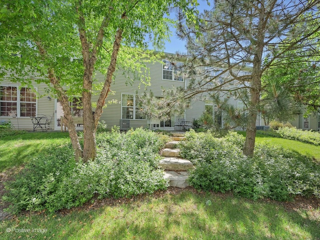 2855 Vernal Ln, Naperville, IL 60564 - view of green lawn
