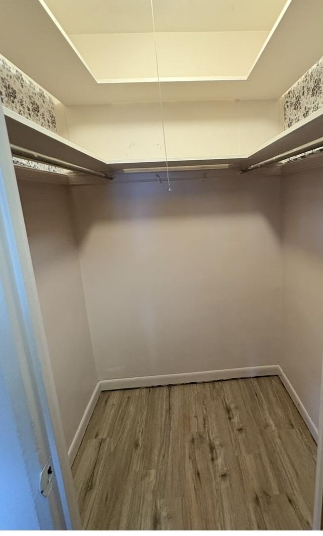 1205 N Harlem Ave Unit 6, Oak Park, IL 60302 - spacious closet with wood finished floors