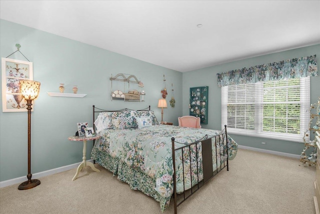 850 Evergreen Way, Highland Park, IL 60035 - bedroom featuring carpet floors