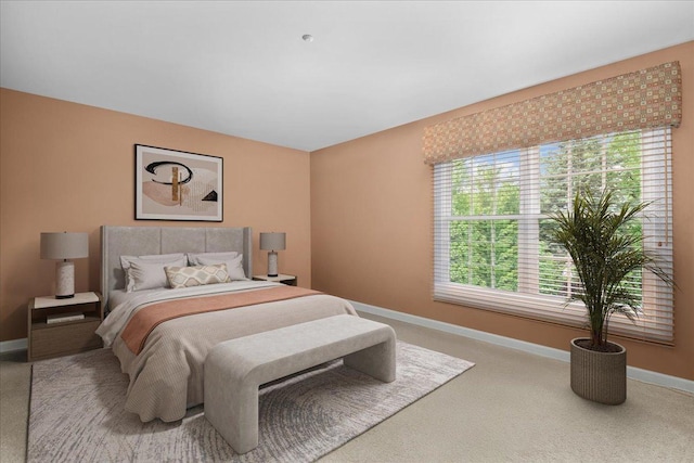 850 Evergreen Way, Highland Park, IL 60035 - bedroom with baseboards and carpet floors