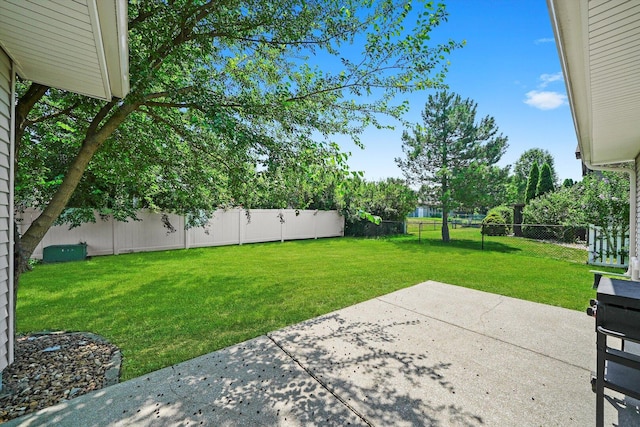 13659 W Cedarbend Dr, Homer Glen, IL 60491 - fenced backyard featuring a patio area