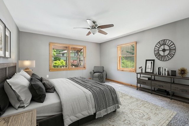 723 N River Rd, Algonquin, IL 60102 - carpeted bedroom with multiple windows and a ceiling fan