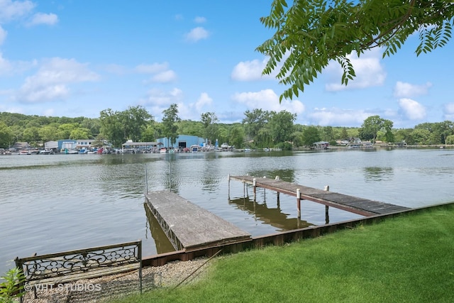 723 N River Rd, Algonquin, IL 60102 - dock with a water view