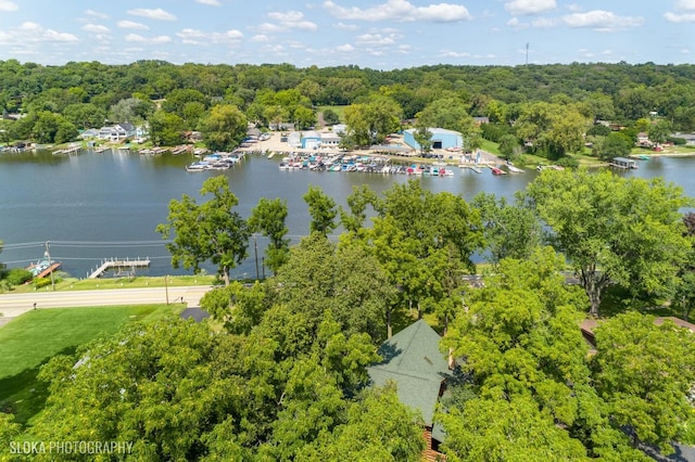 723 N River Rd, Algonquin, IL 60102 - aerial view of a large body of water