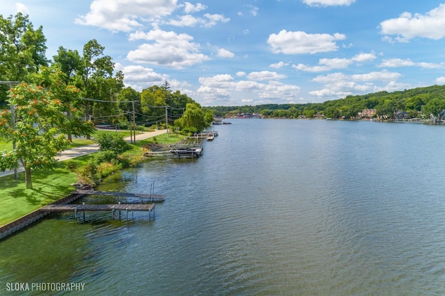 723 N River Rd, Algonquin, IL 60102 - water view featuring a dock