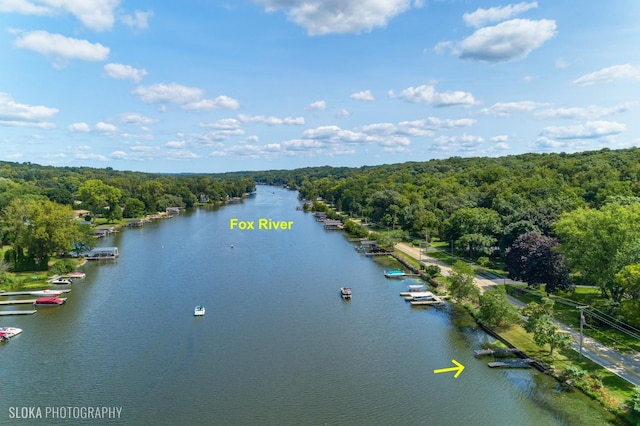 723 N River Rd, Algonquin, IL 60102 - water view with a forest