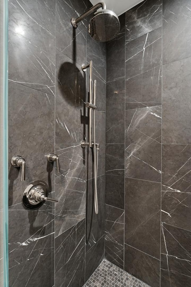 219 E Lake Shore Dr Unit 8C, Chicago, IL 60611 - bathroom featuring a tile shower