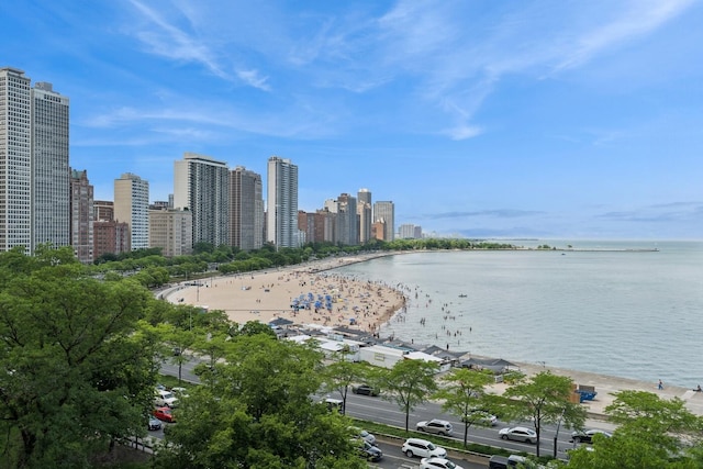 219 E Lake Shore Dr Unit 8C, Chicago, IL 60611 - water view with skyline