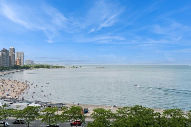 219 E Lake Shore Dr Unit 8C, Chicago, IL 60611 - water view with nearby urban area