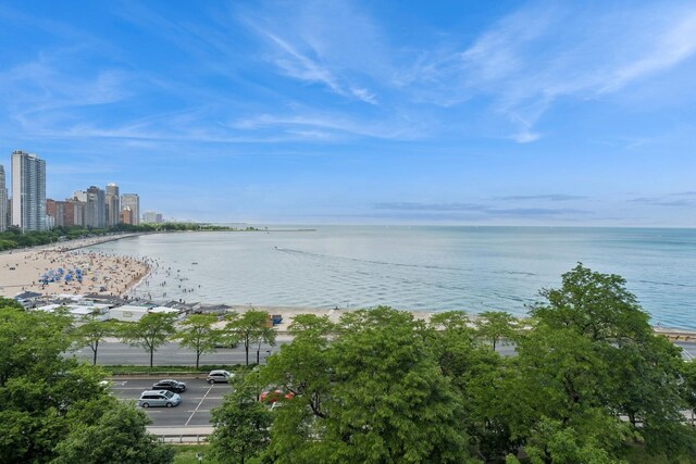 219 E Lake Shore Dr Unit 8C, Chicago, IL 60611 - water view with nearby urban area