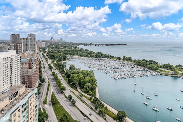 3150 N Lake Shore Dr Unit 29F, Chicago, IL 60657 - water view with nearby urban area and a marina