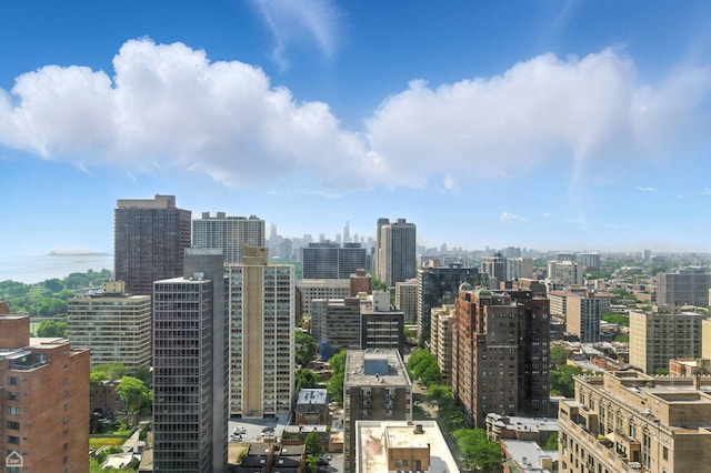 3150 N Lake Shore Dr Unit 29F, Chicago, IL 60657 - skyline view