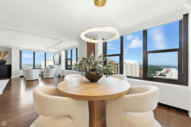 3150 N Lake Shore Dr Unit 29F, Chicago, IL 60657 - dining space featuring rail lighting, dark wood-type flooring, and attic access