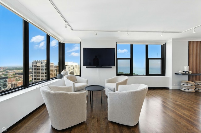 3150 N Lake Shore Dr Unit 29F, Chicago, IL 60657 - living room featuring rail lighting, healthy amount of natural light, and dark wood finished floors