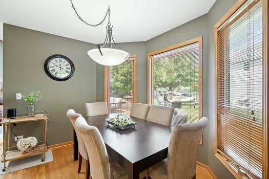 497 E Barberry Cir, Yorkville, IL 60560 - photo 4
