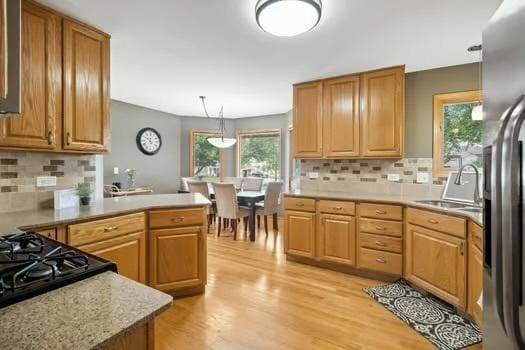 497 E Barberry Cir, Yorkville, IL 60560 - photo 6