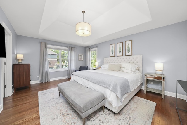 13616 S Erin Dr, Homer Glen, IL 60491 - bedroom with a tray ceiling and wood finished floors