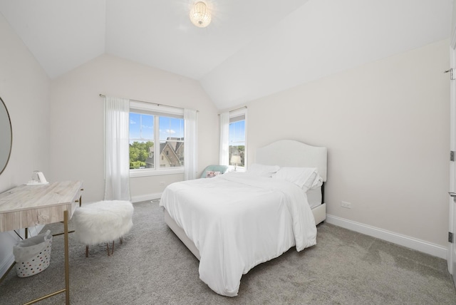 13616 S Erin Dr, Homer Glen, IL 60491 - bedroom featuring vaulted ceiling and carpet floors