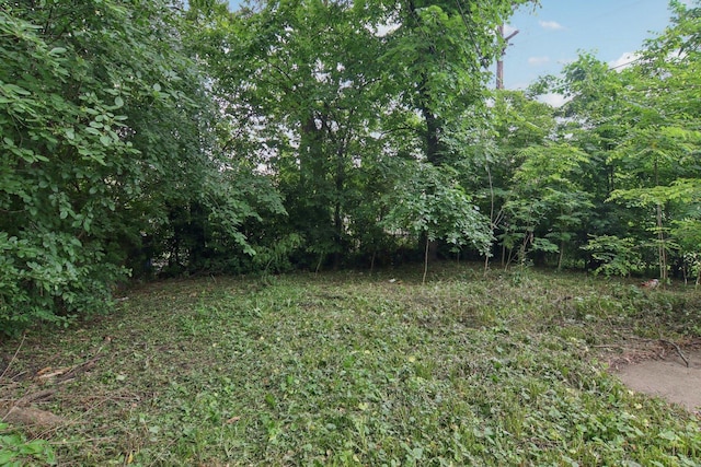 9832 S Oglesby Ave, Chicago, IL 60617 - view of yard