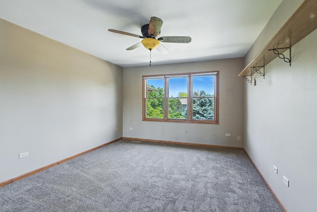 14N924 White Pines Ln, Hampshire, IL 60140 - spare room with carpet and ceiling fan