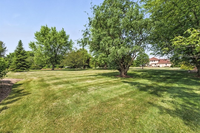 14N924 White Pines Ln, Hampshire, IL 60140 - view of green lawn