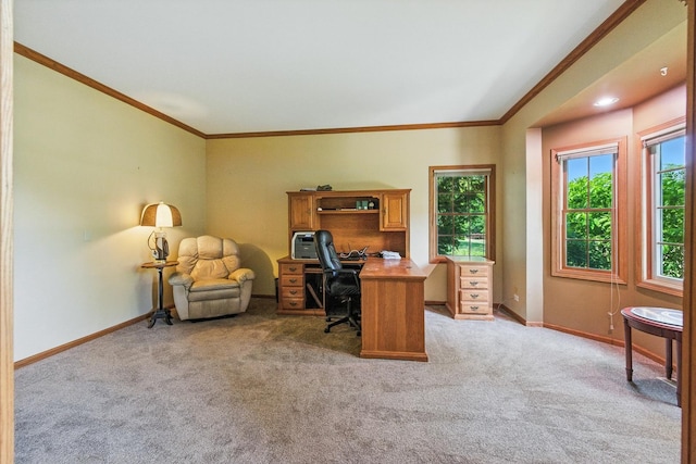 14N924 White Pines Ln, Hampshire, IL 60140 - office with light carpet and crown molding