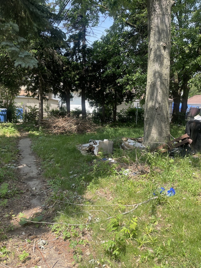 12310 S Yale Ave, Chicago, IL 60628 - photo 3