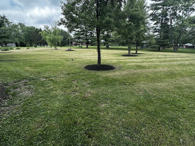 2212 N 2829th Rd, Marseilles, IL 61341 - view of green lawn