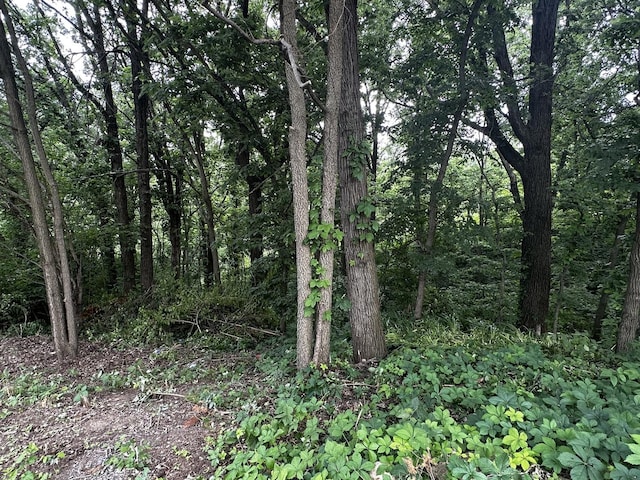 2212 N 2829th Rd, Marseilles, IL 61341 - view of wooded area