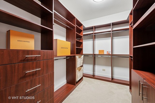 417 E N Water St, Chicago, IL 60611 - spacious closet with wood finished floors