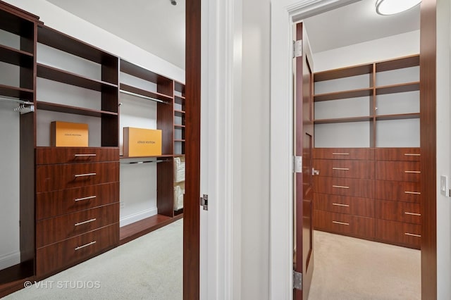 417 E N Water St, Chicago, IL 60611 - walk in closet with carpet